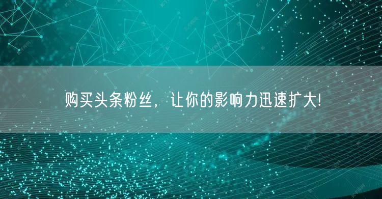 购买头条粉丝，让你的影响力迅速扩大!