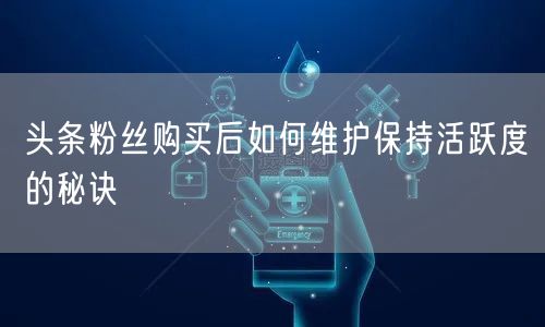 头条粉丝购买后如何维护保持活跃度的秘诀
