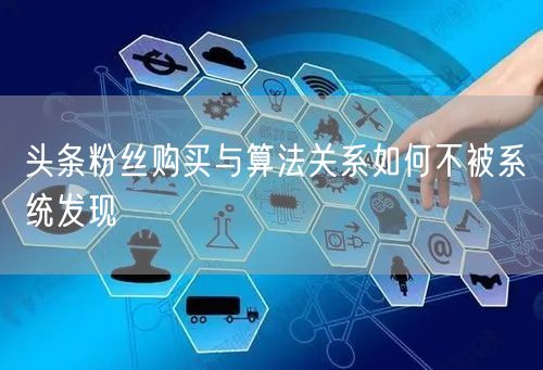 头条粉丝购买与算法关系如何不被系统发现