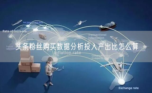 头条粉丝购买数据分析投入产出比怎么算