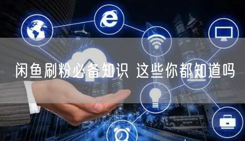 闲鱼刷粉必备知识 这些你都知道吗