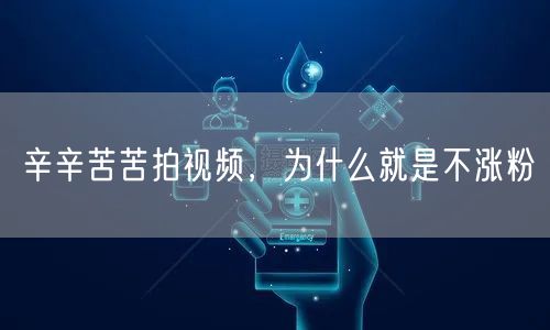 辛辛苦苦拍视频，为什么就是不涨粉